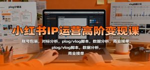 小红书IP运营高阶变现课:账号包装,对标分析,plog/vlog脚本,数据分析,商业接单-副业严选