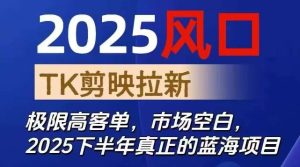 2025风口TK剪映capcut拉新项目，极限高客单，市场空白，2025下半年真正的蓝海项目-副业严选
