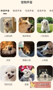 哆啦猫狗翻译器1.2.6高级版-副业严选