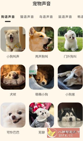 哆啦猫狗翻译器1.2.6高级版 - 副业严选-副业严选