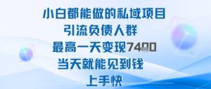 2025年小白都能做的私域项目引流负债人群最高一天变现1k+高变现难度低当天就能见到钱上手快-副业严选