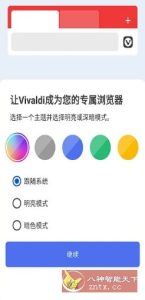 Vivaldi浏览器 v7.6.3810.105-副业严选