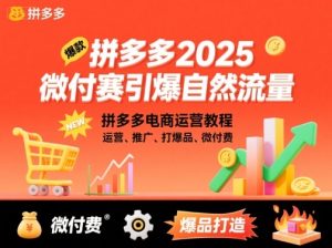 拼多多2025微付费引爆自然流量,拼多多电商运营教程,运营、推广、打爆品、微付费(更新)-副业严选