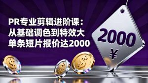 PR专业剪辑进阶课:从基础调色到特效大片的进阶技能,单条短片报价达2000-副业严选