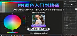 PR调色入门到精通：从色彩理论到案例实操，婚礼/医美/美食多场景调色技巧-副业严选