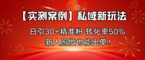 【实测案例】私域新玩法，日引30+精准粉，转化率50%，新人照做也能出单！-副业严选