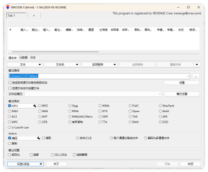 XRecode 3音视频转换v1.173绿色版-副业严选