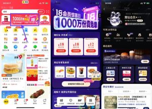 美团部分人直接体验黑钻会员-副业严选