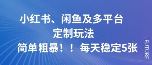 小红书、闲鱼及多平台定制玩法简单粗暴！每天稳定5张-副业严选