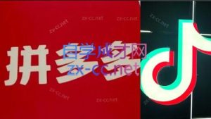 老陶电商·拼多多+抖音小店无货源开店(更新10月)-副业严选