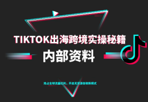TikTok跨境电商0-1搭建运营(更新10月)-副业严选