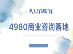 4980商业咨询师落地课程-ip运营高客单教程-副业严选