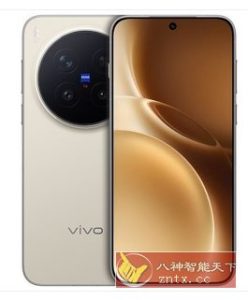 优酷／今日头条／闲鱼／爱奇艺／京东 vivo x300 Pro 提取版-副业严选