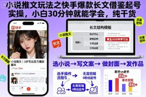 小说推文玩法之快手爆款长文借鉴起号实操，小白30分钟就能学会，纯干货-副业严选