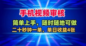手机视频审核,随时随地可做,二十秒钟一单,单日收益4张+【揭秘】-副业严选