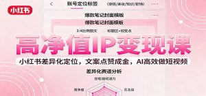 高净值IP变现课：小红书差异化定位，文案点赞成金， AI高效做短视频-副业严选