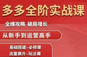 大炮·拼多多全阶实战课程(更新10月)-副业严选