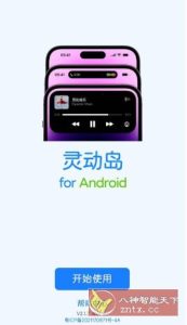 灵动岛v2.1.7高级版-副业严选