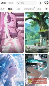 元气桌面壁纸v3.56.4355高级版-副业严选