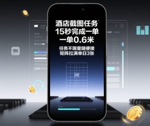 酒店截图任务，15秒完成一单，一单0.6米，任务不限量随便接，矩阵拉满单日3张【揭秘】-副业严选