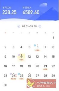 小时工记账 v4.7.10高级版-副业严选