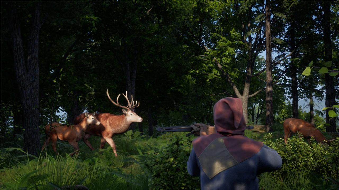 《中世纪王朝》v2.4.0.5中文版-趣奇资源网-第5张图片