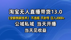淘宝无人直播13.0,公域私域技术,不封号,不违规 布局下半年旺季赛道,日入2000+-副业严选
