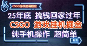 25年底搞钱回家过年,CSGO游戏挂机掘金,纯手机操作超简单-副业严选