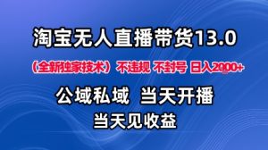 淘宝无人直播13.0,公域私域技术,不封号,不违规布局下半年旺季赛道,日入1K+(独家技术)【揭秘】-副业严选
