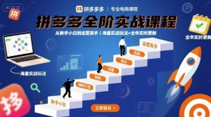 拼多多全阶实战课程，从新手小白到运营高手，海量实战玩法+全年实时更新【2025年10月更新】-副业严选