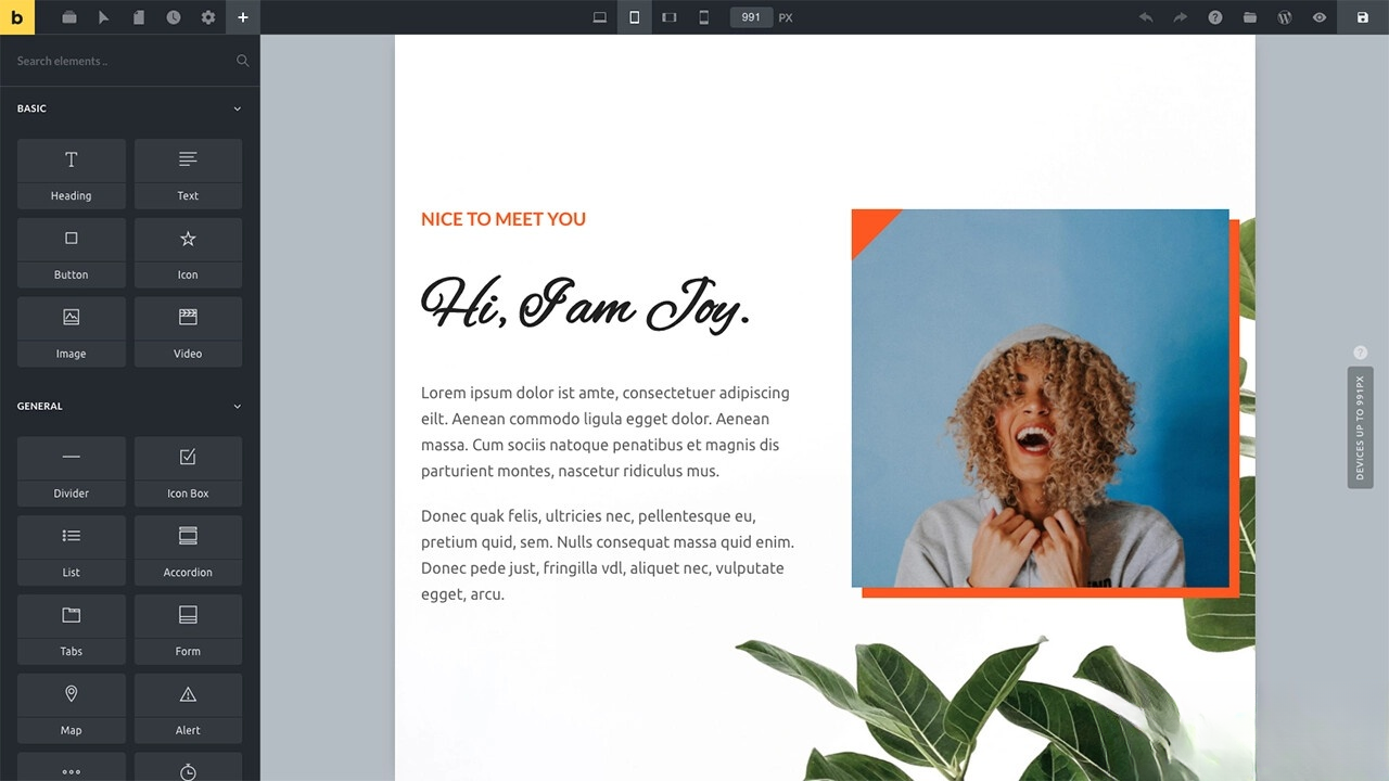 WordPress主题Bricks v1.9 破解版 - 副业严选-副业严选