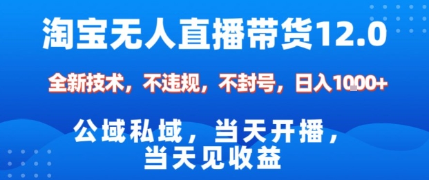 淘宝无人直播12.0，公域私域技术，不封号，不违规布局双十一流量风口，日入1k(独家技术)【揭秘】 - 副业严选-副业严选
