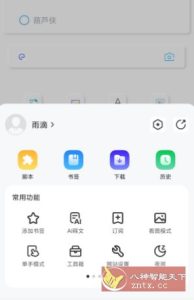 Rains浏览器3.0.4.7-副业严选