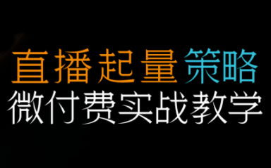 半野老师·直播带货起量与微付费必学课视频号 - 副业严选-副业严选