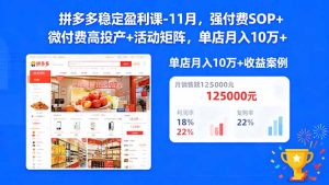 拼多多稳定盈利课-11月,强付费SOP+微付费高投产+活动矩阵,单店月入10w+-副业严选