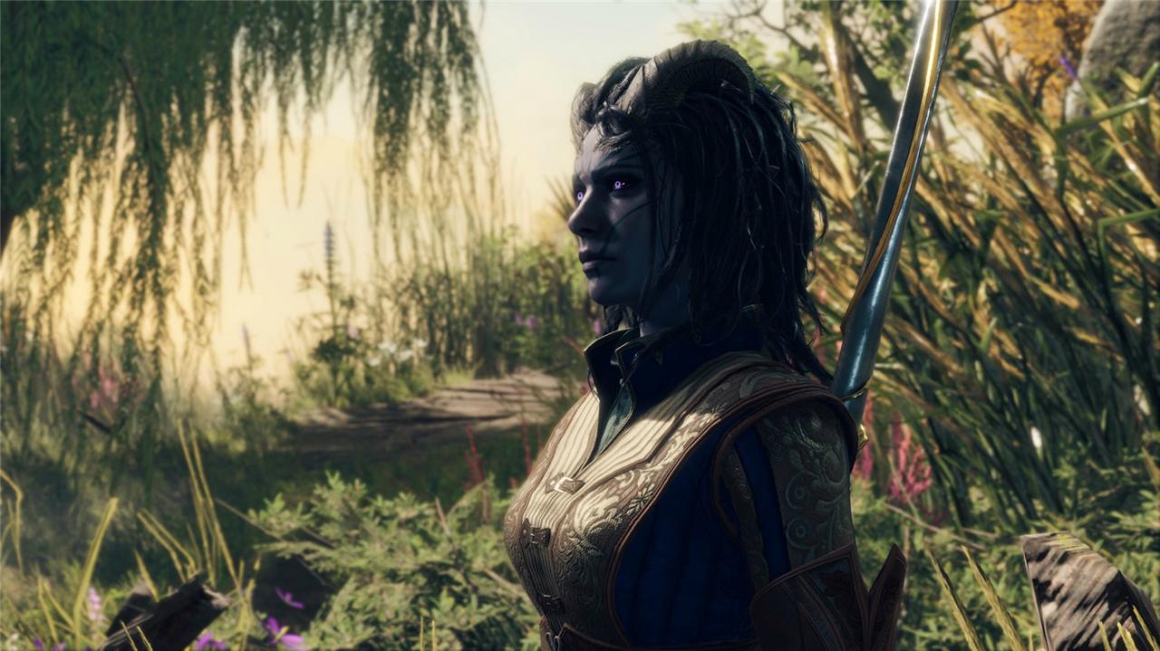 《博德之门3》v4.1.1.6897358正式版-趣奇资源网-第8张图片