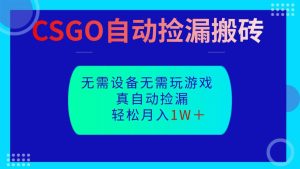 CSGO自动捡漏搬砖，当天操作当天见结果，无需了解游戏，包教包会包落地-副业严选