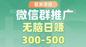 首发项目，微信群推广掘金，多号矩阵无脑日入3-5张【揭秘】-副业严选