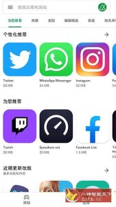 Google Play Store 谷歌商店v48.7.17-29-副业严选