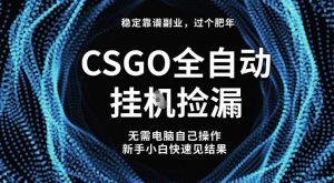 【稳定副业】全球最热门游戏CSGO全自动捡漏，最新玩法，新手小白日入5张+【揭秘】-副业严选