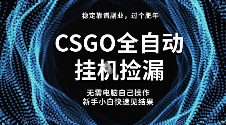 【稳定副业】全球最热门游戏CSGO全自动捡漏，最新玩法，新手小白日入5张+【揭秘】 - 副业严选-副业严选
