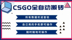 CSGO全自动搬砖，年底钱回家好项目，当天可拿到结果，新手小白轻松月入1W+【揭秘】-副业严选