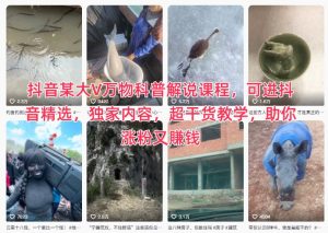 抖音某大V万物科普解说课程，可进抖音精选，独家内容，超干货教学，助你涨粉又賺钱-副业严选