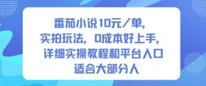 番茄小说10米每单，实拍玩法，0成本好上手，详细实操教程和平台入口适合大部分人-副业严选