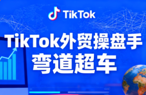 TikTok外贸操盘手(更新11月)-副业严选