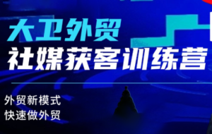 大卫老师·外贸社媒获客独家训练营(更新)-副业严选