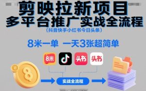 剪映拉新项目多平台推广实战全流程(抖音快手小红书今日头条)，8米一单，一天3张超简单-副业严选