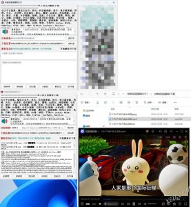 侠客多平台短视频解析去水印工具 V5.1-副业严选