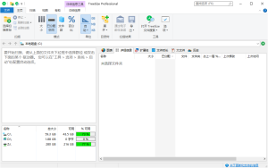 TreeSize Professional v9.6.2.2158绿色版-副业严选