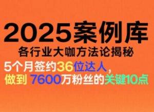 2025案例库，收录各行业大咖的方法论，各行业大咖方法论揭秘-副业严选